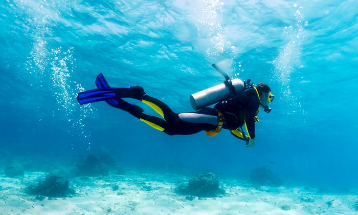 Discover Scuba Diving Photo